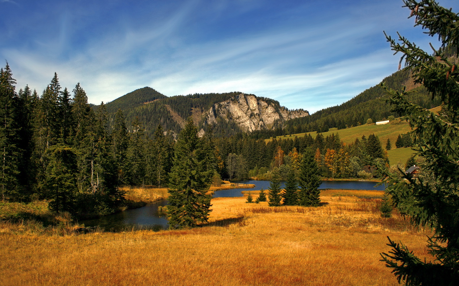 中超球队阵容深度对比，中超各队球员名单